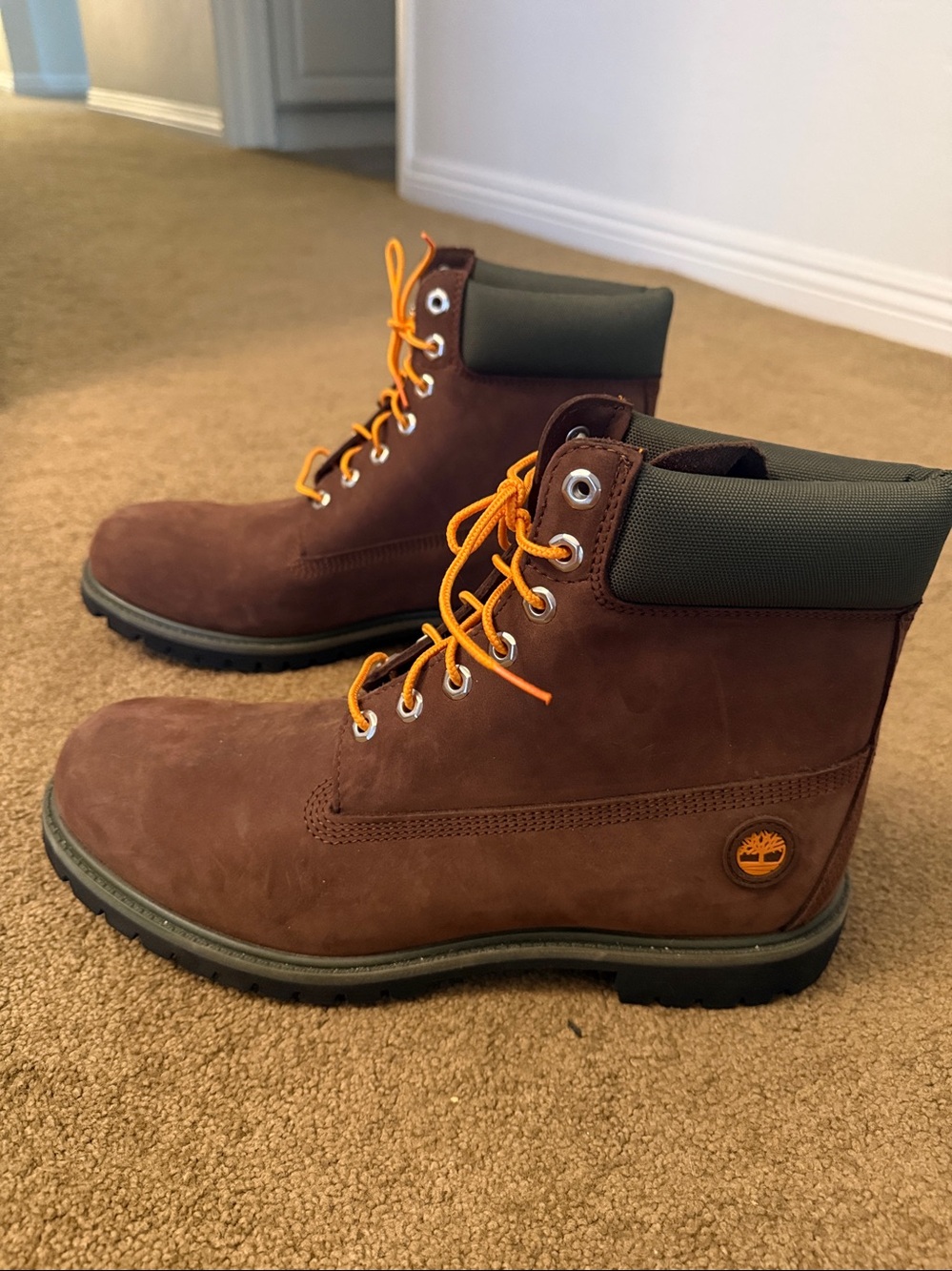 Timberland• 6” Premium Waterproof Boot in Dark Brown, Green